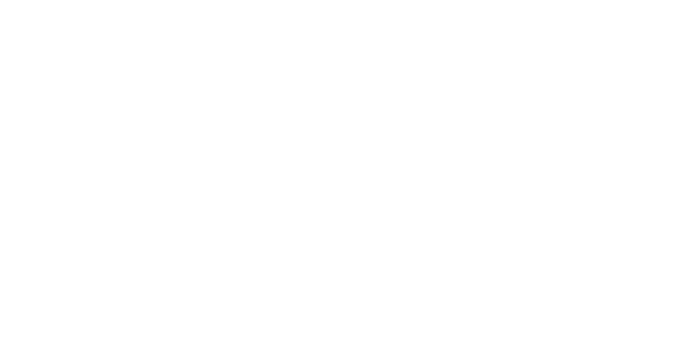 Logo RIU